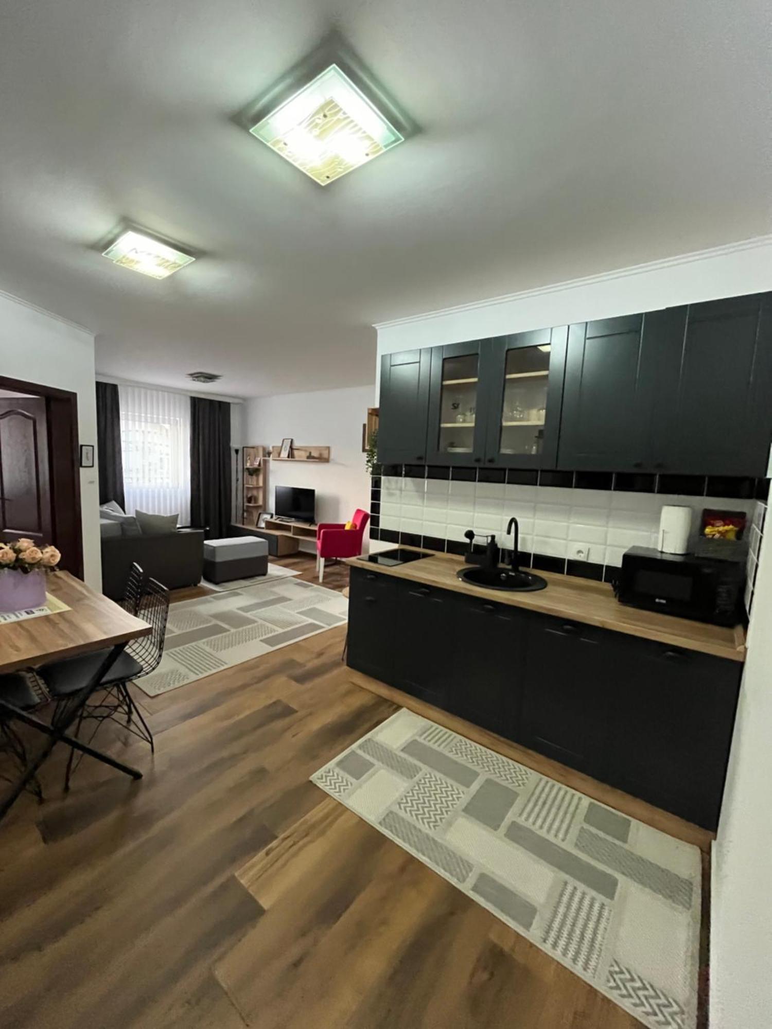 Airport Sky Apartments Lux ベオグラード エクステリア 写真